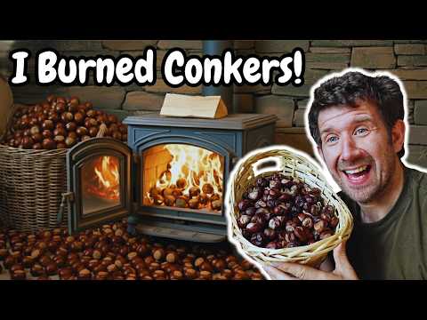 Burning Conkers in a Fireplace... The Results Are INSANE