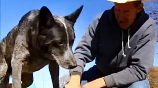 The Amazing Skidboot (Texas Country Reporter)