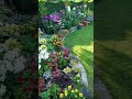 Cottage garden #gardening #flowers