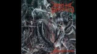 Drawn and Quartered -  Feeding Hell's Furnace (full album)