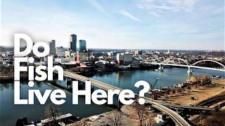Can you catch bass in a BIG city? Arkansas River fishing
