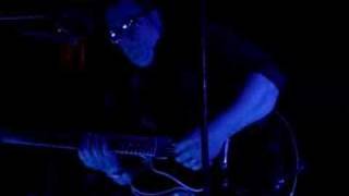 They Might Be Giants Performing Mammal