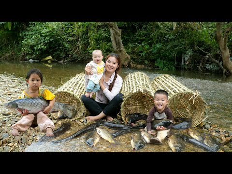 How to trap giant river fish overnight for sale - Cooking with three young children