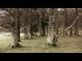 Saint Kateri Tekakwitha DVD Film Trailer