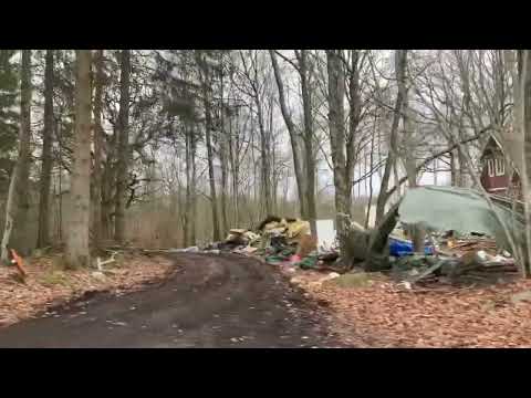 STEGERYD mellan Johannishus och Björkeryd - RONNEBY - 2023-01-30 - iPhone SE