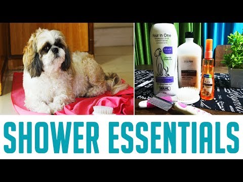 Shih Tzu Shower Essentials | Indian Petmom Sharing Important tips and Products for Shih Tzu Video