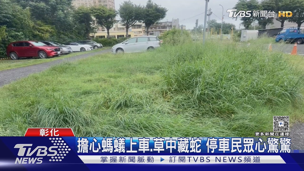 「鬼月不能除草」?彰化公所「離譜回應」惹議!