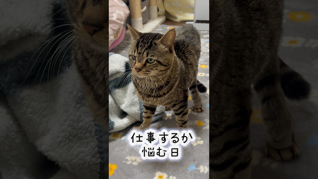 春まだ浅し、仕事か休むか