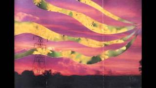 Mark McGuire - Amethyst Waves