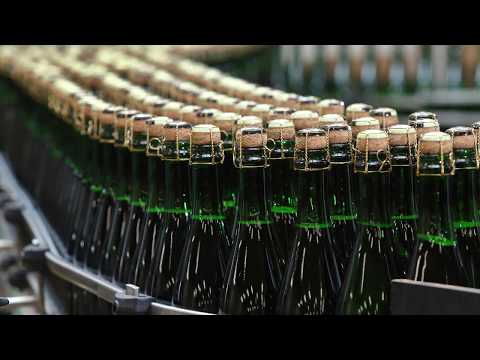 Na návštěvě ve společnosti BOHEMIA SEKT