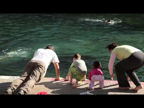 Barton Springs Pool - 1sqMile - Austin, Texas