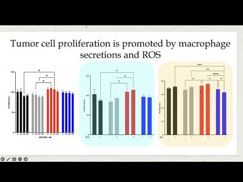 <p>#949 Targeting Triple-Negative Breast Cancer: IL8-CXCR2 Inhibition and ROS Suppression</p>
