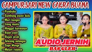 Download lagu CAMPURSARI CAKRA BUANA PALING ENAK DI DENGAR||TERBARU 2025 mp3