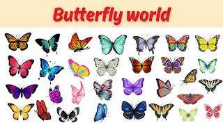 Butterfly | Beautiful Butterflies for Kids | Learn Butterfly Names