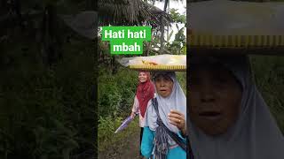 Download lagu Jangan ditiru adegan berbahaya !! Takut tumpah mp3