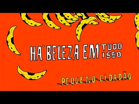 HÁ BELEZA EM TUDO ISSO | Pequeno Cidadão