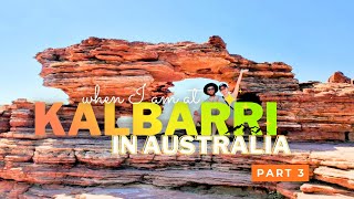 【西オーストラリア】【5泊6日ロードトリップ】４億年の岩壁眺めに行ってきた！Exmouth~Kalbarri　【Road trip】