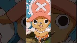 Download lagu Nami merindukan Luffy setelah time skip #onepiece #mugiwarastrawhat #short mp3