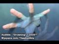 Audible Drowning 2009