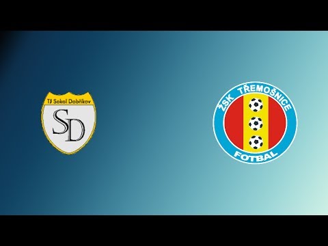 SESTŘIH UTKÁNÍ | TJ SOKOL DOBŘÍKOV - ŽSK TŘEMOŠNICE (0:3)