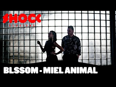 Shock Sessions: Blssom - Miel Animal (acústico) - Shock