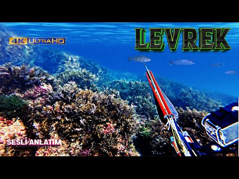 Speerfischen im Marmarameer! / Schwarze Küstenjagden / Audiokommentar / Untertiteloptionen