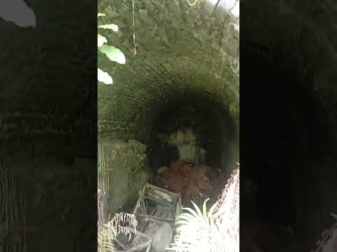 Tunel Misterioso , no meio do Mato, Borin Descober o Tunel no Mato no interior de São Gabriel,RS