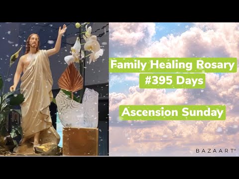Family Healing Rosary #395 Days