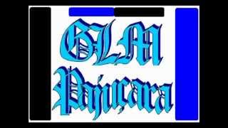 preview picture of video '[$_GLM_$] PAJUÇARA'