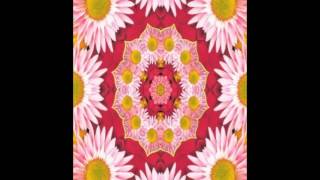 The Slits   Shoplifting