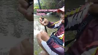 Download lagu babon kayaknya #shortsviral #mancing #fishing #soundviral #shorts mp3 Download lagu babon kayaknya #shortsviral #mancing #fishing #soundviral #shorts mp3