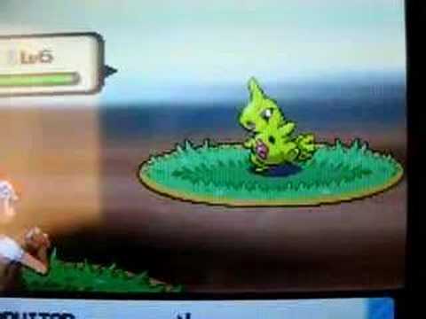Shiny Larvitar (1 of 7) pokeradar chain 40 pokemon diamond