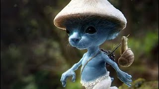 Cover art for we live we love we lie