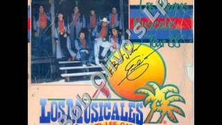 Alma Negra - David Lee Garza.wmv