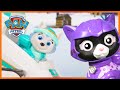 1 Hour of Cat Pack Toy Rescues Missions! - PAW Patrol - Toy Pretend Play for Kids