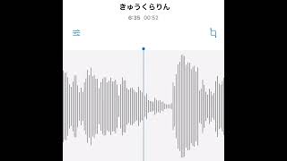 - #駄菓子cOver型 - きゅうくらりん/いよわ