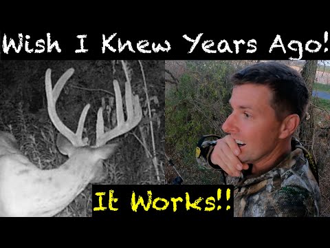 Top 5 Deer Hunting Secrets To Shoot Nocturnal Big Bucks!