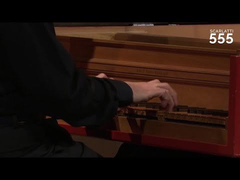 Scarlatti : Sonate en ré mineur K 41 (Enrico Baiano) - #Scarlatti555