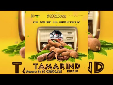 Tamarind Riddim Mega Mix (2021 SOCA) - Wendi, IIsha, College Boy Jesse, Rae & Dyson Knight