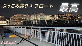 明石の釣り動画　大蔵海岸