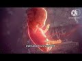 En Karuvai Kandeeraiyya ️ Tamil Christian Song Jesuslovesyou Haerttouchingstatus