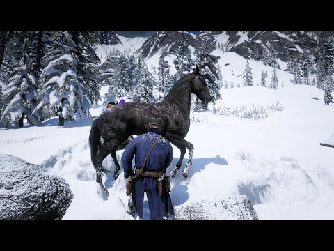 RDR 2 World's rarest Black Panther horse cought by Arthur morgan