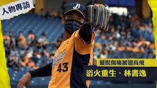 [分享] 浴火重生-林書逸