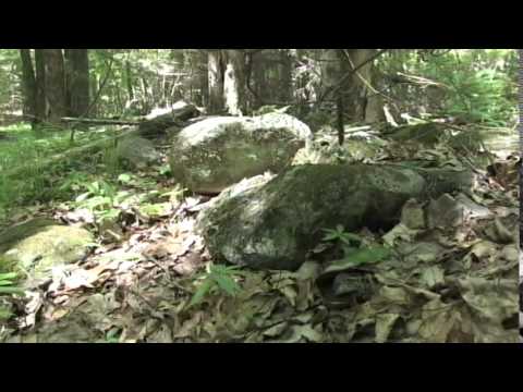 Searching for Paddy Farms