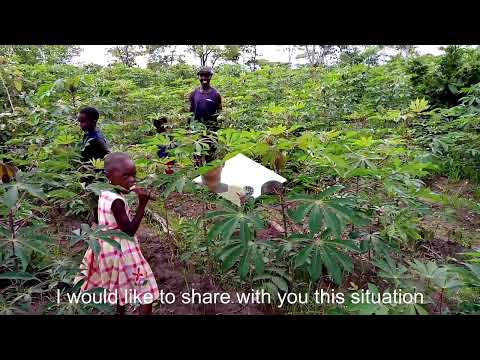 Help 200 youth in sustainable agriculture Tanzania