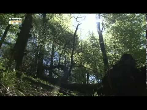 Das Grüne Band - Der Todesstreifen Xtream - Teil 1