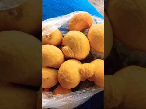 #pequi  de minas gerais