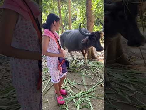 Nature Walk- Keziah’s 12th