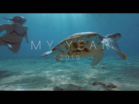 My Year - 2019