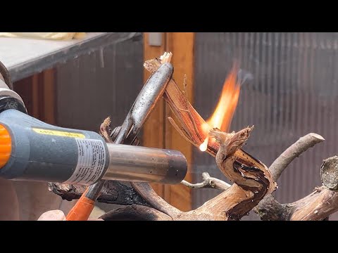 Bonsai: Back to basics - tree 3 (branch bending process)